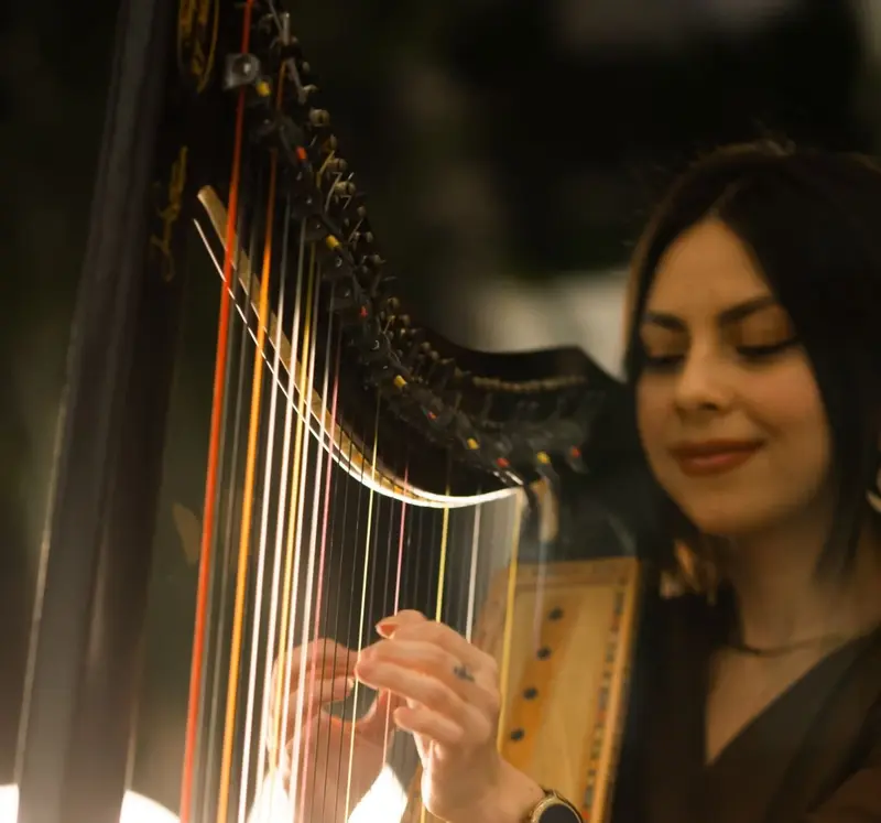 Harpist smiling as her hands play the strings of a concert harp in warm evening light